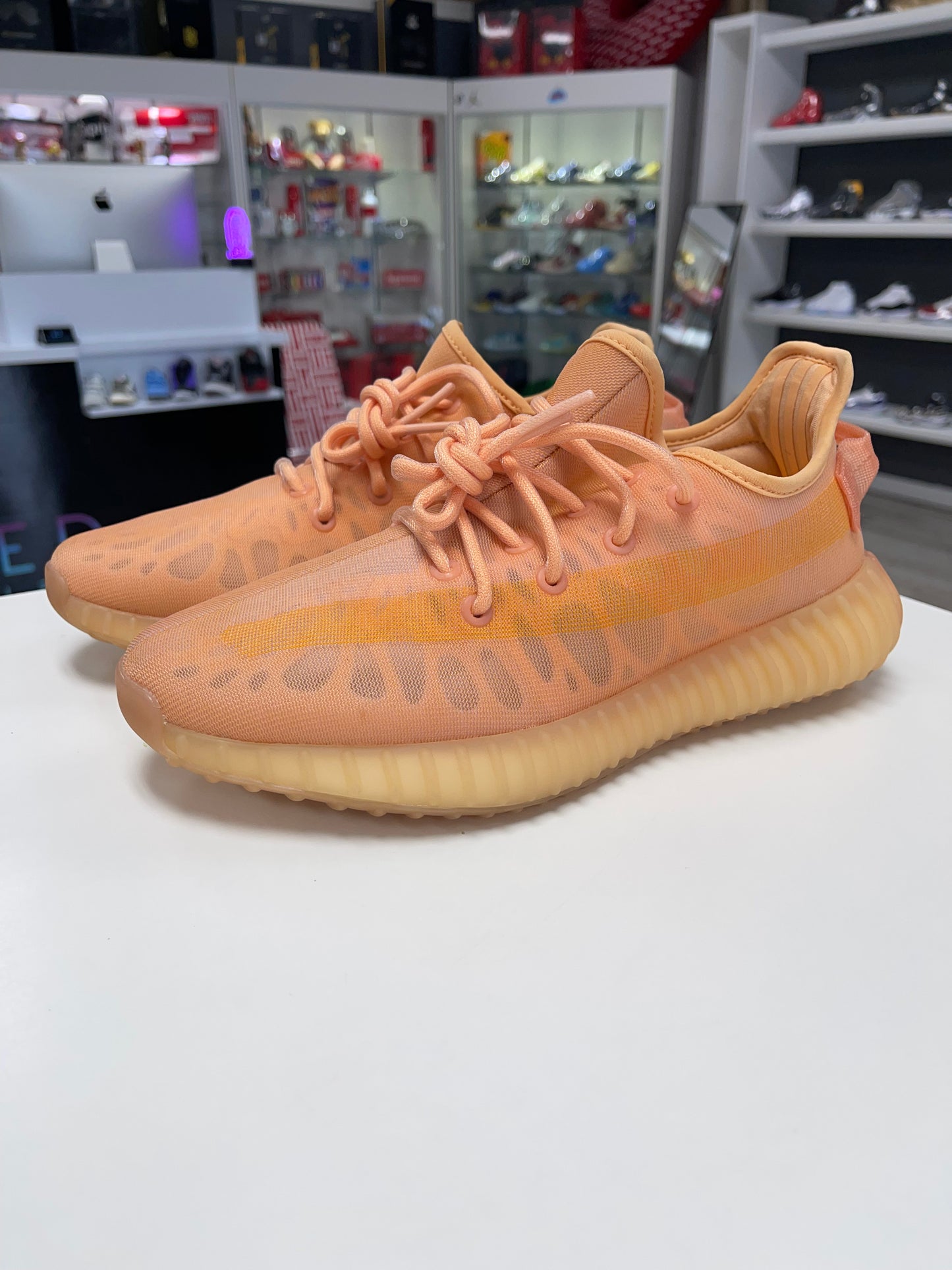 adidas Yeezy Boost 350 V2 Mono Clay USED