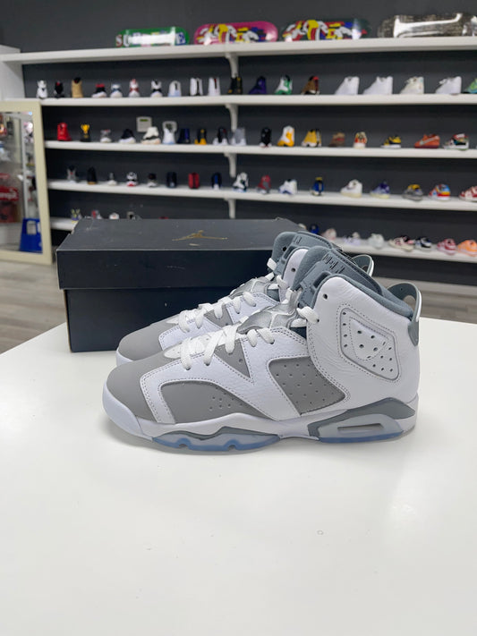 Jordan 6 Retro Cool Grey (GS) USED