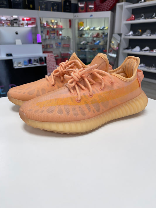adidas Yeezy Boost 350 V2 Mono Clay USED